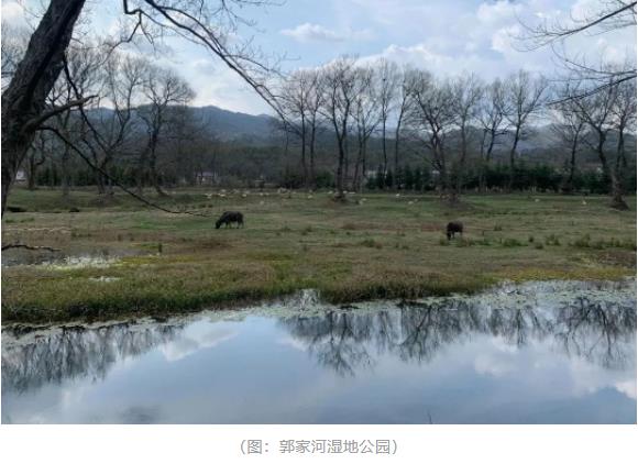 学习二十大，郭可坤主任带领名下实习律师走进“红城”新县